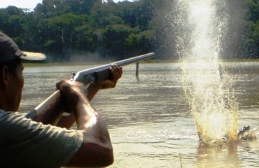 Jacaré ataca e mata pescador em Labrea, comunidade caça animal e recupera corpo - Imagens de Alto impacto