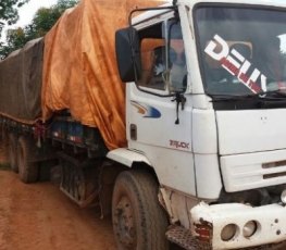 Polícia Ambiental apreende caminhão transportando carga ilegal de madeira