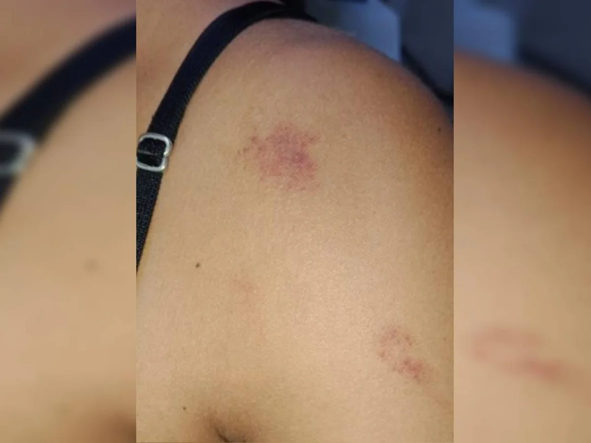 MARIA DA PENHA: Mulher é espancada por marido que escondia celular para ela não ler mensagens
