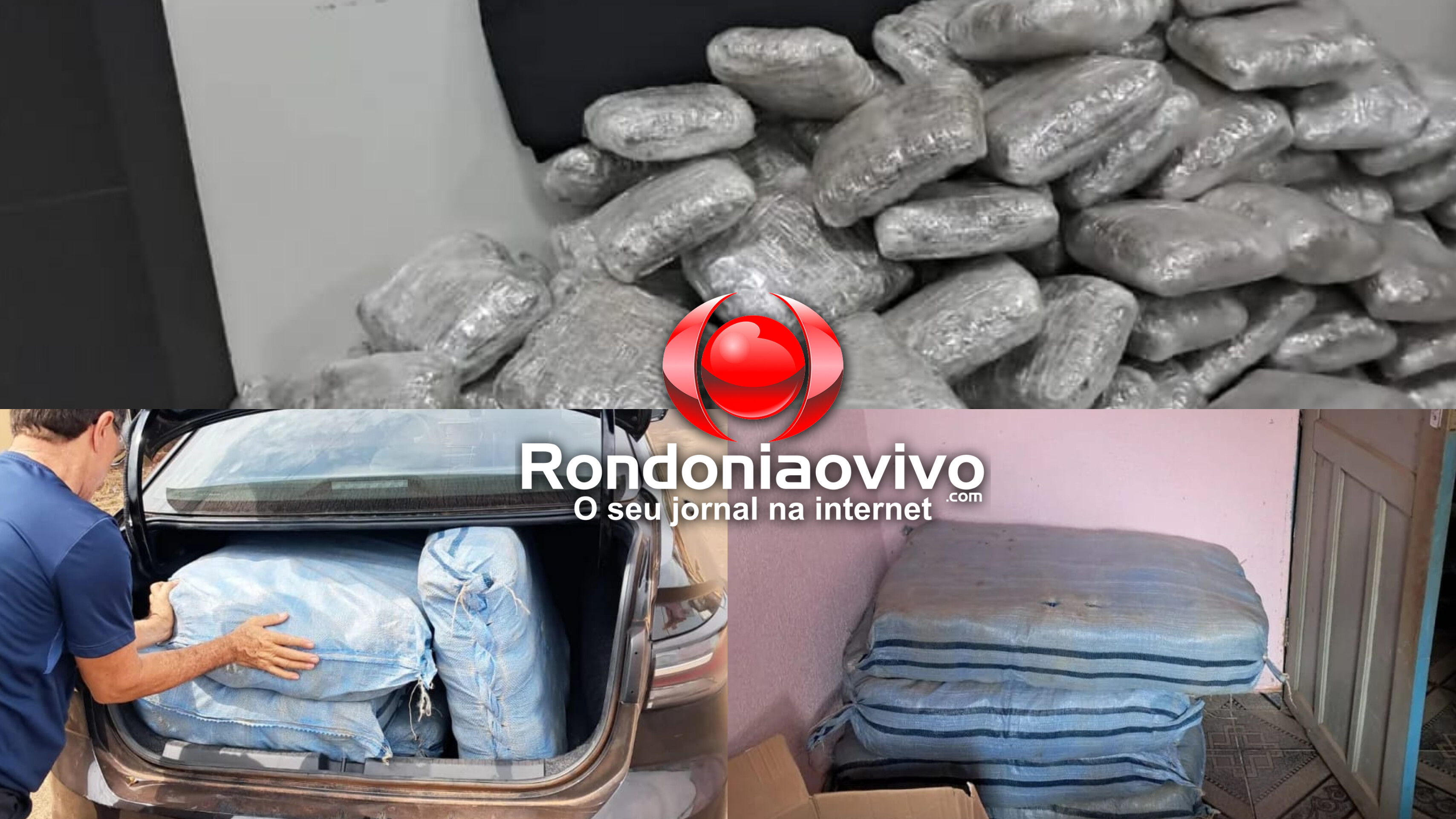 CERCO FECHADO: Polícia Civil descobre depósito e apreende 125 kg de maconha no bairro Teixeirão