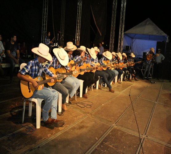 Viola Caipira conquista público na 37ª Expojipa