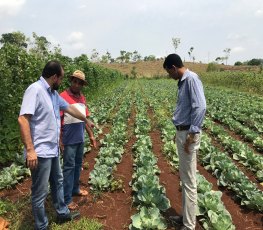 Laerte Gomes faz gestão em prol de horticultores