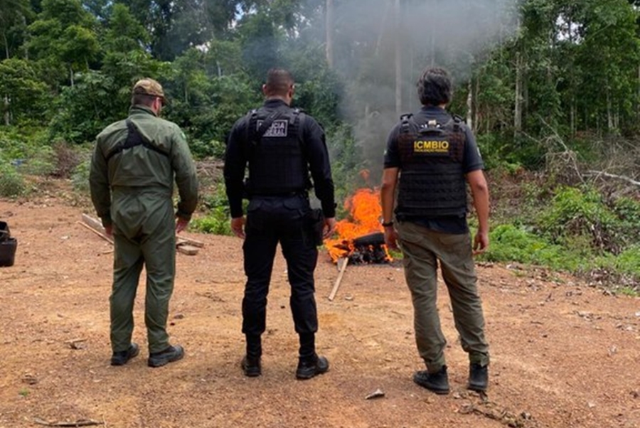 OPERAÇÃO GREENWASHING: 4° fase visa combater crimes de apropriação de terras e delitos ambientais