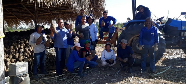 PRODUÇÃO: Vereador Bengala participa do início da colheita do Inhame