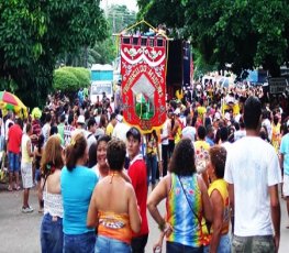 CARNAVAL 2017 – Pirarucu do Madeira desfila no sábado (18)