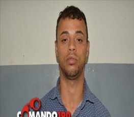 Polícia Militar prende indivíduo armado em cima de árvore