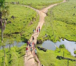 PM cumpre Mandado de Reintegração de Posse em Fazenda 