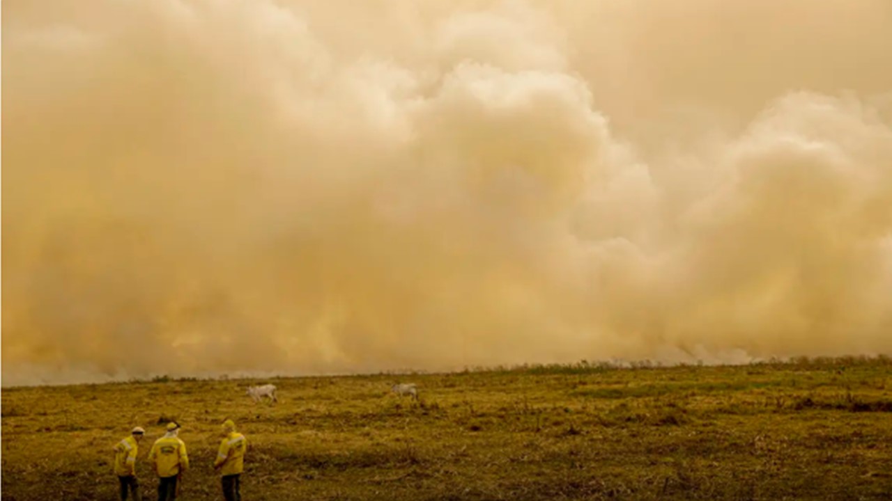 ALERTA: Calor já mata meio milhão de pessoas por ano