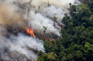 Radar vai vigiar desmatamento sob as nuvens na Amazônia