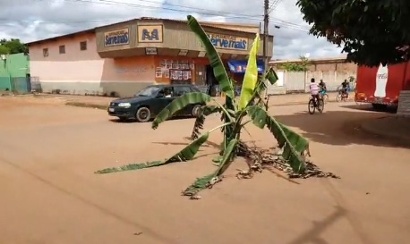 CENA DA CIDADE: Comunidade se revolta e planta bananeira em trecho da avenida Vieira Caúla