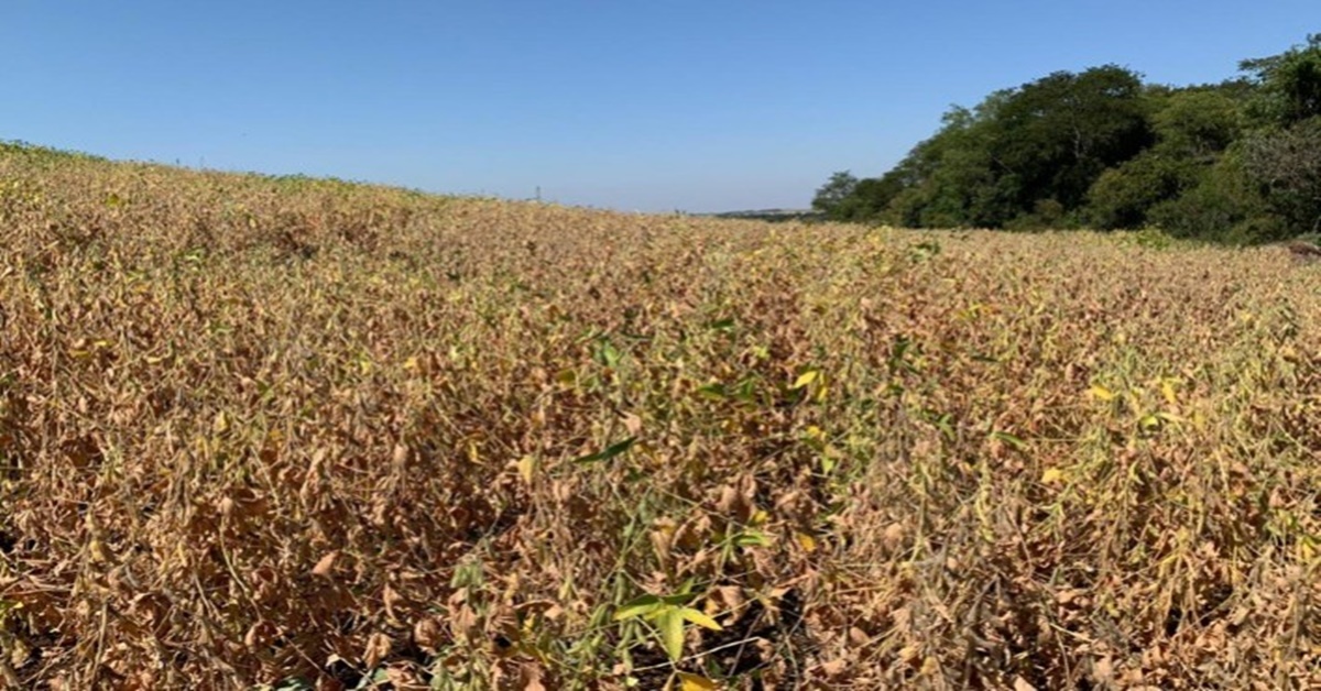 ALERTA: Manual de Crédito Rural sofre alterações nas regras