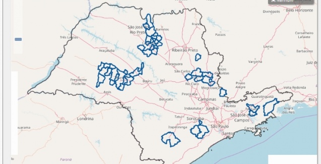 Plataforma digital cria rede de apicultores e contribui para boas práticas no campo