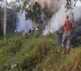 Incêndio em vegetação próximo a perímetro urbano mobiliza moradores 