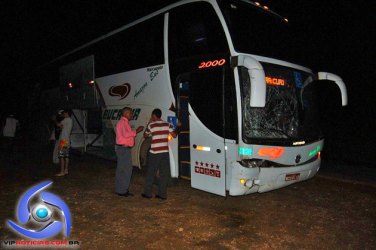 JI-PARANÁ – Animal na pista causa acidente envolvendo ônibus