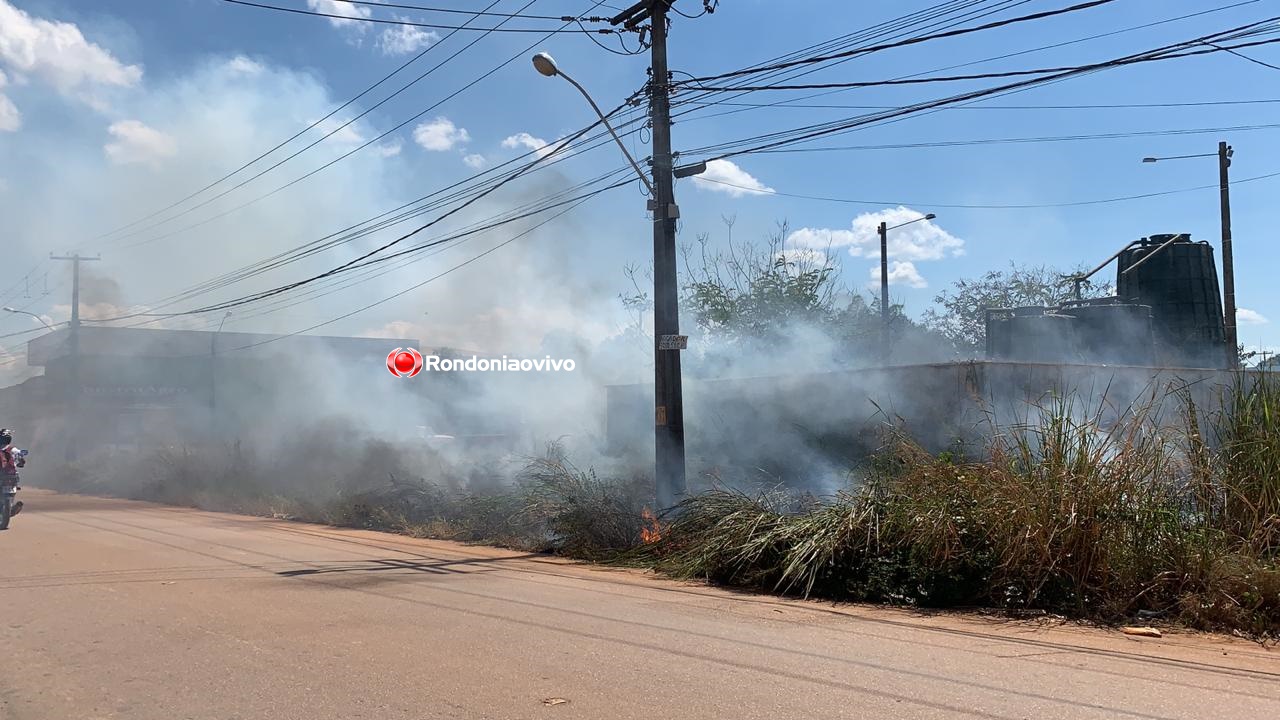 MEIO AMBIENTE: Decreto federal suspende por 120 dias uso do fogo na Amazônia