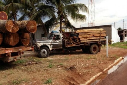 Caminhões são apreendidos pela Polícia Ambiental por transporte ilegal de madeira