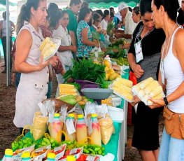 PORTO VELHO: Feira Sabor do Campo acontece nesta sexta-feira na Emater 