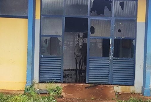 ABANDONO – Posto de Saúde serve até de ‘baia’ para cavalo - VÍDEO