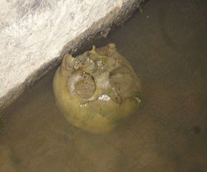 Pescador encontra crânio humano as margens do rio Mamoré