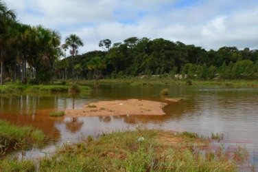 MP apura dano ambiental em igarapé