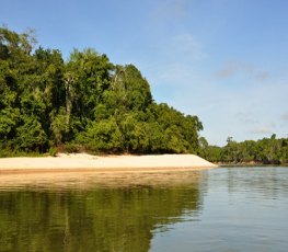 Decreto vai regulamentar visitação a parques estaduais de Rondônia