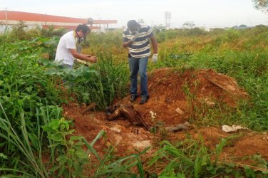 MISTÉRIO - Cadáver é encontrado em matagal próximo a quartel da PM