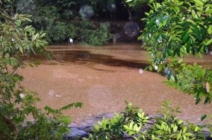 Caerd pode ser responsável pelo derramamento de grande quantidade de óleo no Rio Jaru - VÍDEO