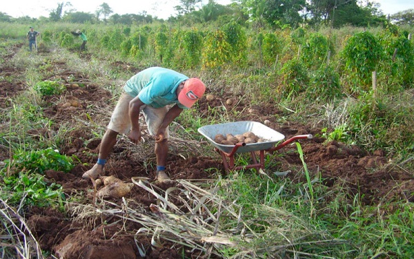 INVESTIMENTO: Certidão garante crédito rural para agricultores em áreas de ocupação