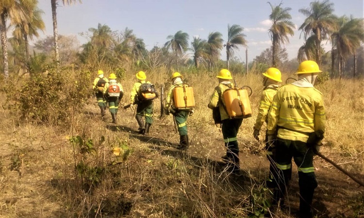 CHANCE: Ibama é autorizado a contratar 1.481 funcionários temporários