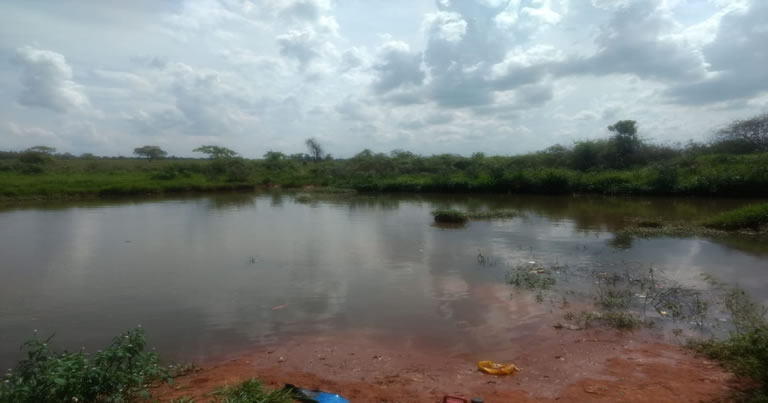 EM FÉRIAS: Criança do PR morre afogada em sítio do avô em Rondônia