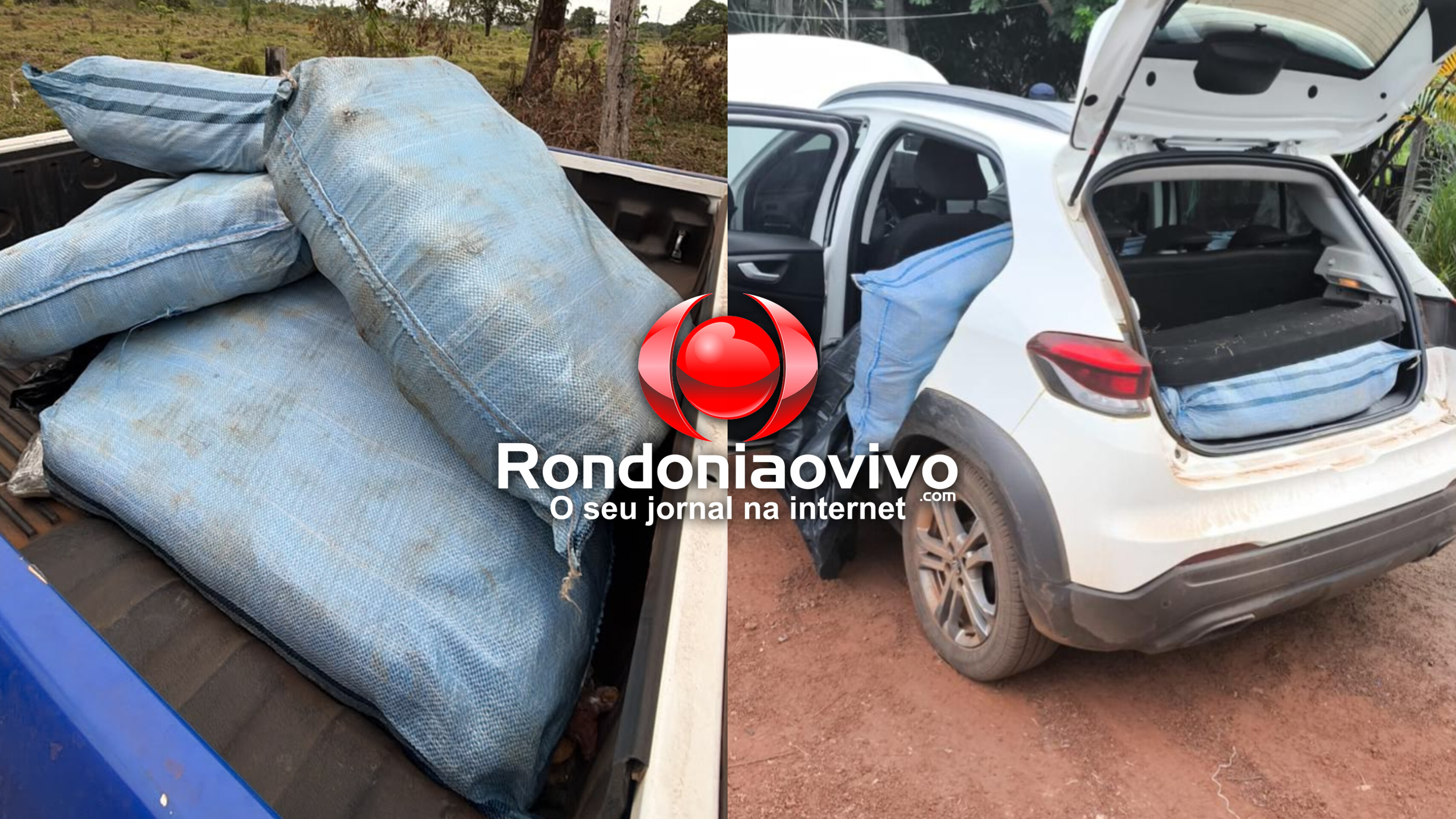 OPERAÇÃO: DRACO2, PM e PRF apreendem 180 quilos de skunk após perseguição