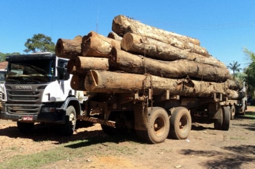 Governo investiga Rondônia por oficializar madeira ilegal de outros Estados