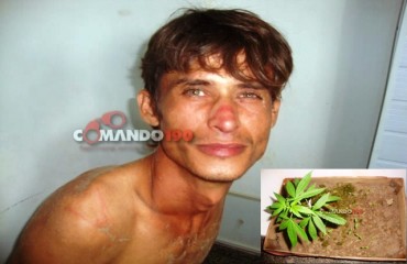 JI-PARANÁ – Homem espanca mãe e é preso com pé de maconha dentro de casa