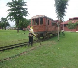 Mutirão da Semusb manterá EFMM limpa para o aniversário de Porto Velho