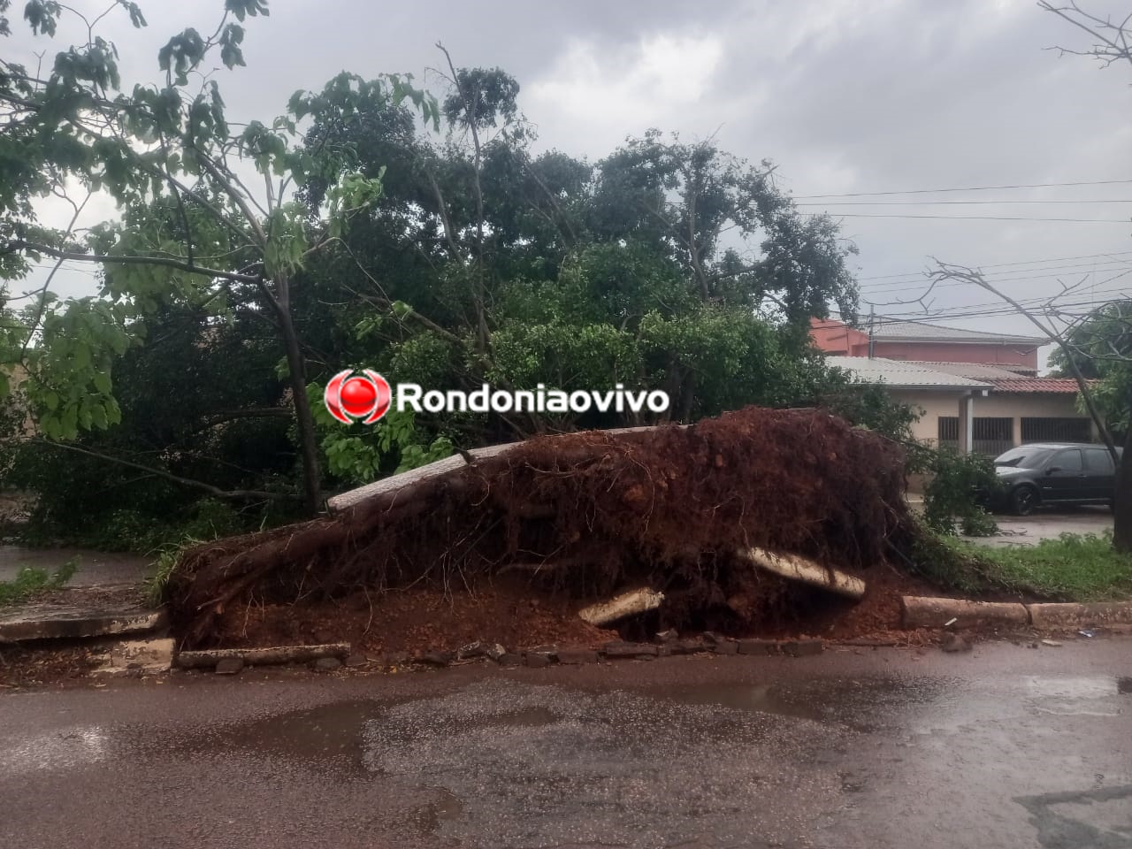 VÍDEO: Temporal provoca destruição em Porto Velho; assista