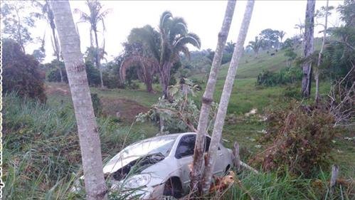 Motorista perde o controle do carro, sai da pista e bate em árvore 