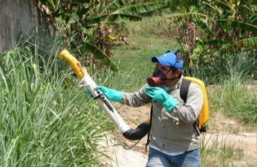 Autoridades de saúde se reúnem para combater o mosquito da dengue