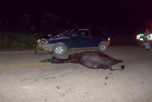 Vaca solta na pista causa acidente envolvendo radialista e sua família