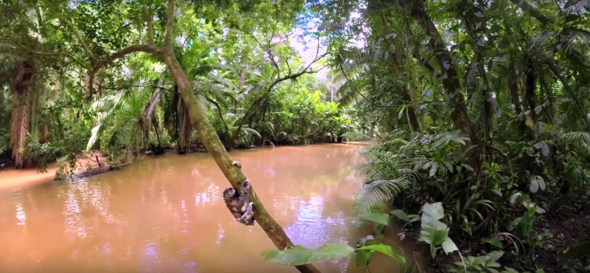 Filme de realidade virtual permite visita à Amazônia com guia indígena