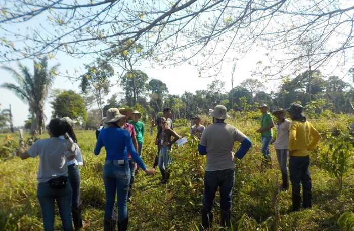 IMÓVEIS: Campanha do Programa de Regularização Ambiental será lançada em RO