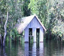 Cheia dos rios deve afetar mais de 100 mil pessoas no Amazonas