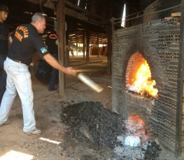 COTIDIANO: Incineração de drogas ilícitas