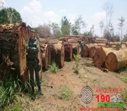 PM Ambiental apreende mais de 1,2 mil metros cúbicos de madeira irregular