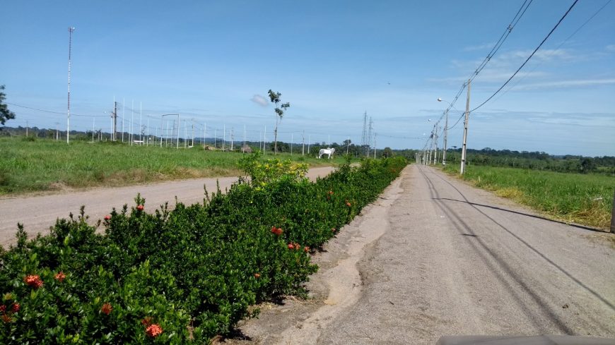 FEIRA: Expositores são autorizados a instalar estandes na 8ª Rondônia Rural Show