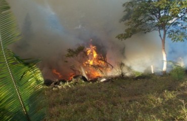 JARU - Incêndio atinge propriedade rural - Fotos