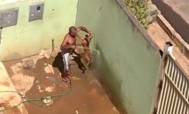 Chocante - Homem é flagrado torturando cachorro VÍDEO 