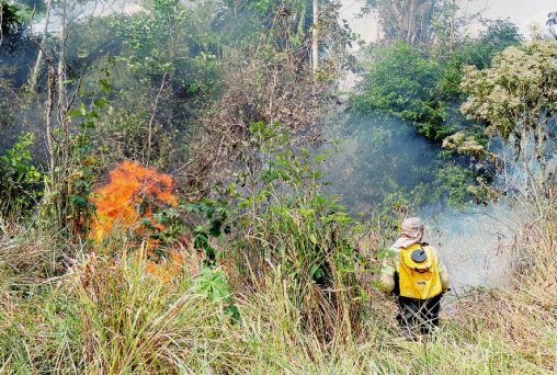 Bombeiros e populares combatem incêndio em Campus da UNIR