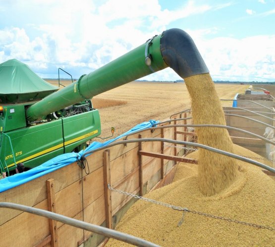 Produção de Rondônia deve chegar a 1,6 milhão de toneladas de grãos