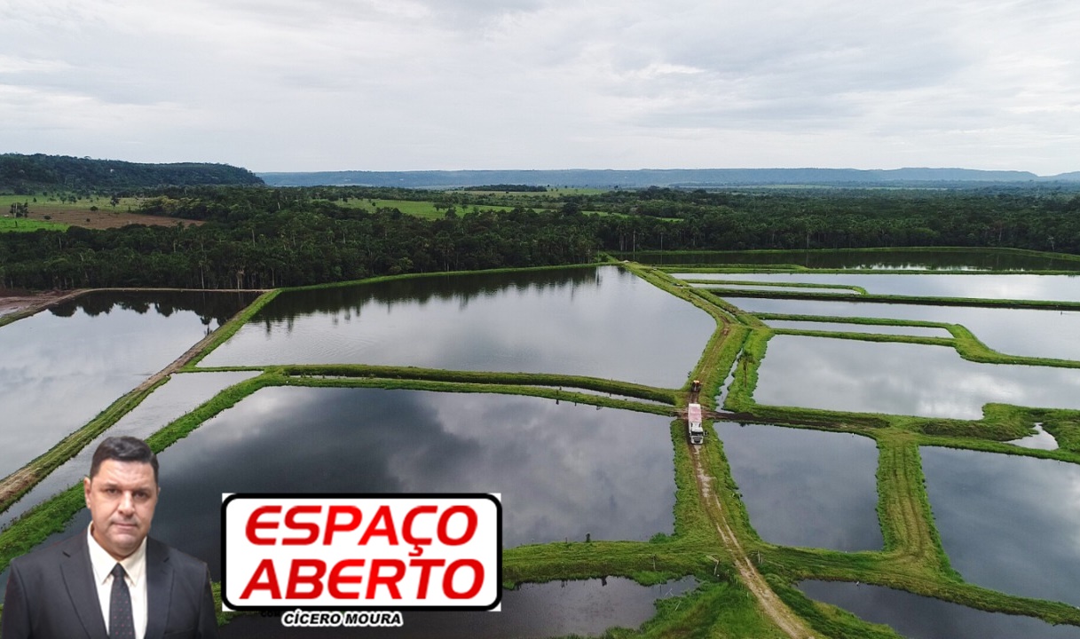 ESPAÇO ABERTO: Piscicultores dizem que Governo 'fabrica' números para beneficiar grandes produtores