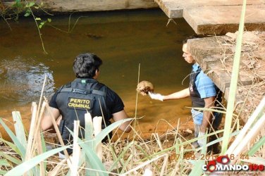 Crânio humano é encontrado às margens de rio 